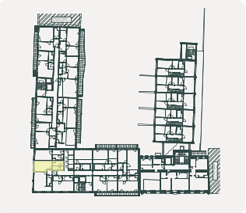 Picture 723f4e4c-8c75-4518-afa8-98c421dc255e